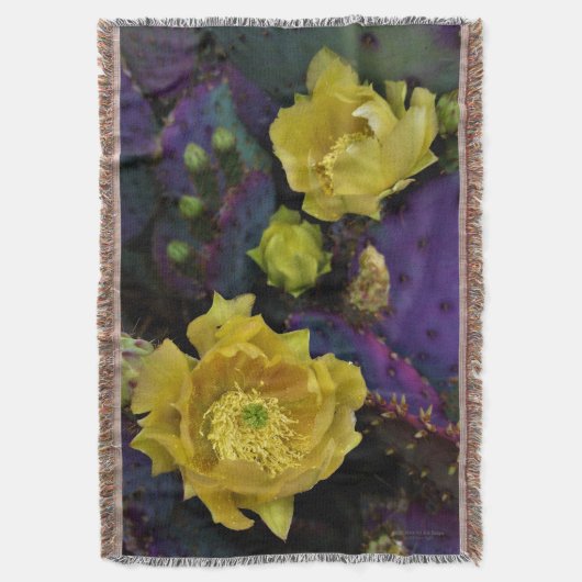 紫色の棘のあるナシのサボテン黄色の花 スローブランケット (正面縦)