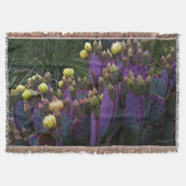 紫色の棘のあるナシのサボテン黄色の花 スローブランケット
