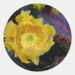 紫色の棘のあるナシのサボテン ラウンドシール