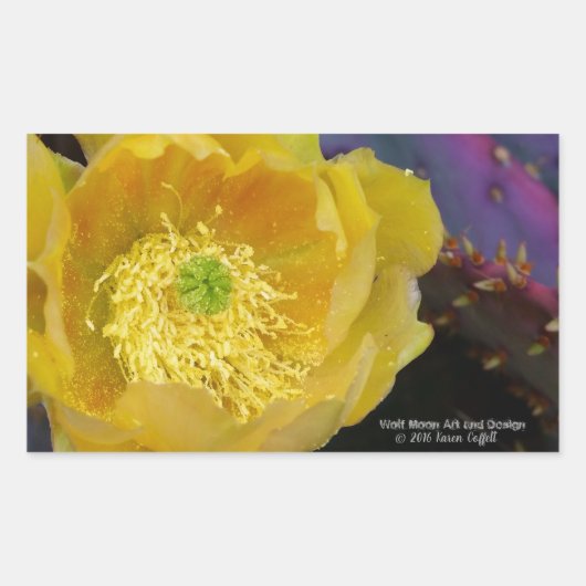 紫色の棘のあるナシのサボテン 長方形シール (正面)