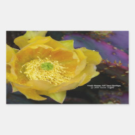 紫色の棘のあるナシのサボテン 長方形シール