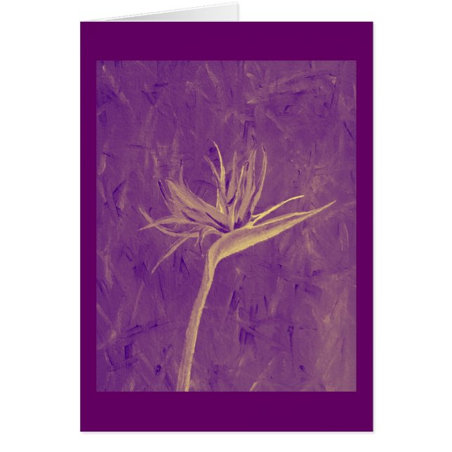 紫色の極楽鳥 (正面)