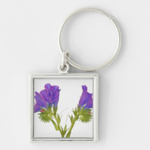 紫色の毒蛇のbugloss (echiumのplantagineum) キーホルダー