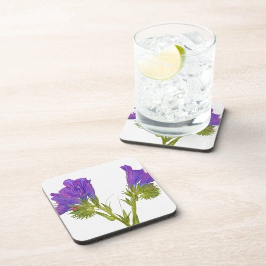 紫色の毒蛇のbugloss (echiumのplantagineum) コースター (右側)