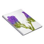 紫色の毒蛇のbugloss (echiumのplantagineum) ノートブック (右側)