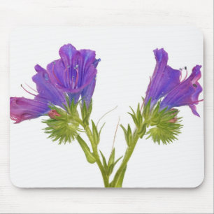 紫色の毒蛇のbugloss (echiumのplantagineum) マウスパッド