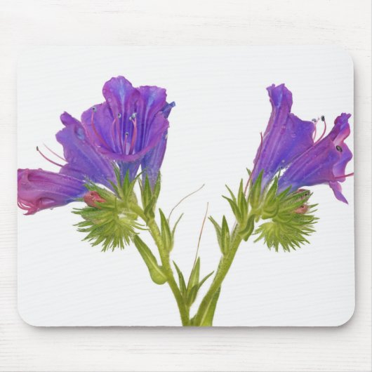紫色の毒蛇のbugloss (echiumのplantagineum) マウスパッド (正面)