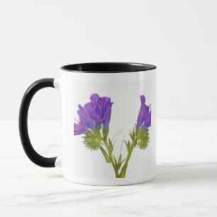 紫色の毒蛇のbugloss (echiumのplantagineum) マグカップ