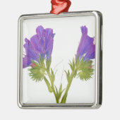 紫色の毒蛇のbugloss (echiumのplantagineum) メタルオーナメント (左)
