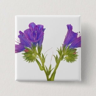 紫色の毒蛇のbugloss (echiumのplantagineum) 缶バッジ