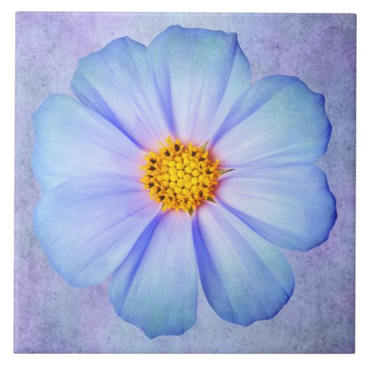 紫色の水彩画のティール(緑がかった色)の青およびすみれ色のデイジー タイル (正面)