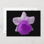 紫色の滴下水仙はがき ポストカード (正面/裏面)