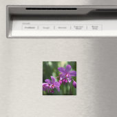 紫色の熱帯花の磁石 マグネット (インサイチュ (食洗機))