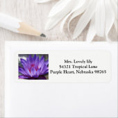 紫色の熱帯《植物》スイレン戻りラベル2017 ラベル (インサイチュ)