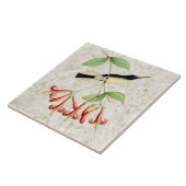 紫色の王冠の妖精のハチドリのヴィンテージの自然の芸術 タイル (側面)