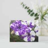紫色の白い庭の花DIYはがき ポストカード (スタンド正面)