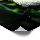 紫色の白ひげアイリスフラワー鏡抽象芸術 ポスター (角)