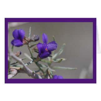 紫色の砂漠の野生の花