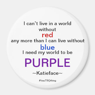 紫色の磁石 マグネット