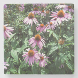 紫色の紅花 ストーンコースター