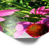 紫色の紅花 フォトプリント            (角)