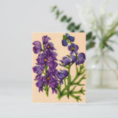 紫色の紋章 ポストカード (スタンド正面)