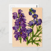 紫色の紋章 ポストカード (正面/裏面)