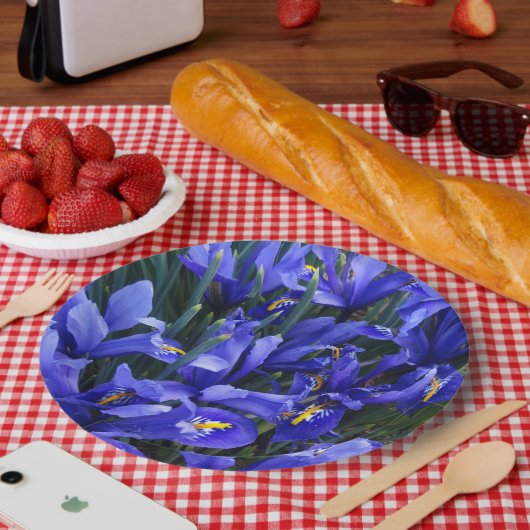 紫色の網状アイリスフローラ ペーパープレート (ピクニック)