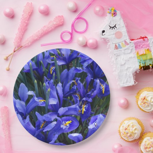 紫色の網状アイリスフローラ ペーパープレート (パーティー)