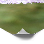 紫色の縁付きチューリップポスター ポスター (角)