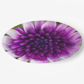紫色の花が一日に ペーパープレート (アングル)