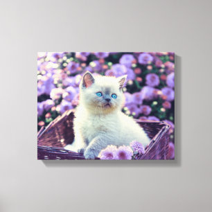 紫色の花が入った籠の青い目の子猫 キャンバスプリント