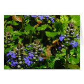 紫色の花とのまわりに (正面横)