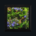 紫色の花とのまわりに ギフトボックス<br><div class="desc">紫色のビーバーム花と黄色と黒ののまわりに撮影サンディのクロス撮影Lake Arrowhead purple, "bee balm"，花，花，フローラ, 春, さくらんぼ, さくらんぼ，庭園，結婚結婚式，</div>