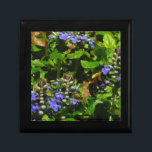 紫色の花とのまわりに ギフトボックス<br><div class="desc">紫色のビーバーム花と黄色と黒ののまわりに撮影サンディのクロス撮影Lake Arrowhead purple, "bee balm",花,花,フローラ, 春, さくらんぼ, さくらんぼ,庭園,結婚結婚式,</div>