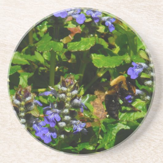 紫色の花とのまわりに コースター (正面)