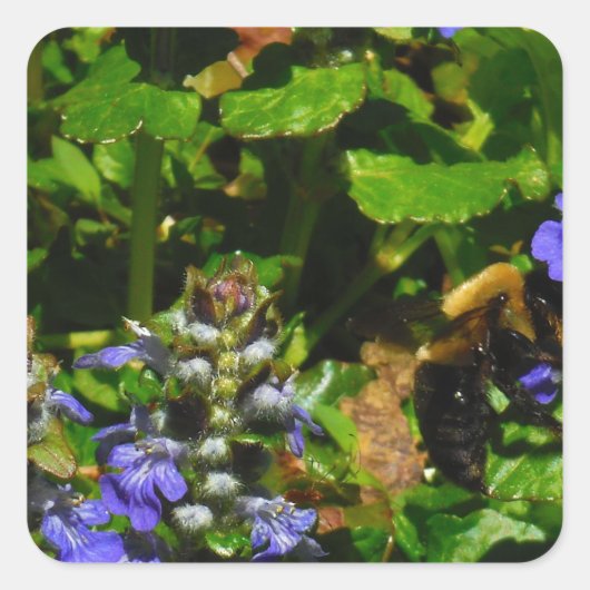 紫色の花とのまわりに スクエアシール (正面)