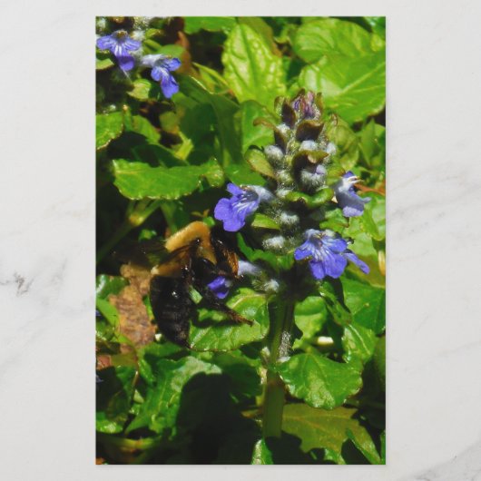 紫色の花とのまわりに 便箋 (正面)