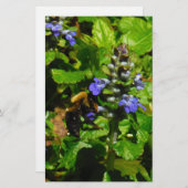 紫色の花とのまわりに 便箋 (正面/裏面)