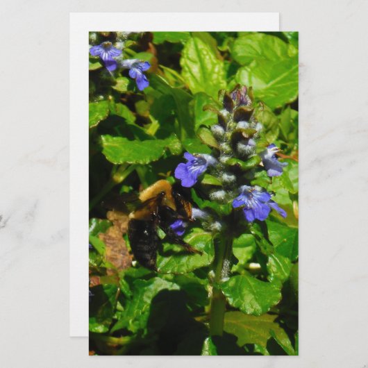 紫色の花とのまわりに 便箋 (正面/裏面)