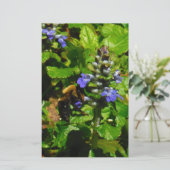 紫色の花とのまわりに 便箋 (スタンド正面)