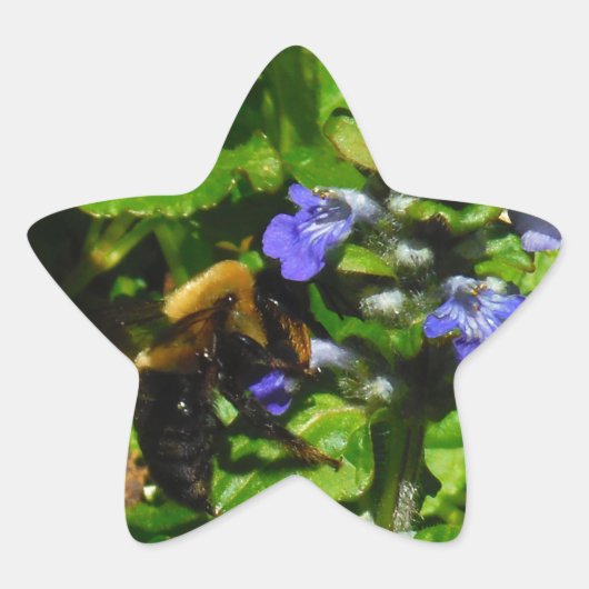 紫色の花とのまわりに 星シール (正面)