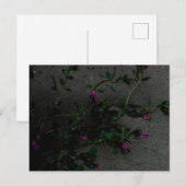 紫色の花と深いの影 ポストカード (正面/裏面)