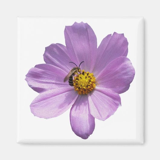 紫色の花にミツバチ マグネット (正面)