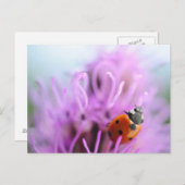 紫色の花のカードのラディバグ ポストカード (正面/裏面)