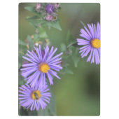 紫色の花のクリップボード クリップボード (裏面)