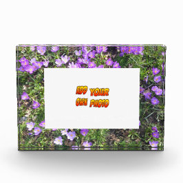 紫色の花のクロッカスお客様。フォトブロック フォトブロック