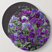 紫色の花のフィールド8420パンジー 缶バッジ (正面&裏面)