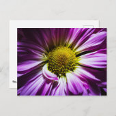 紫色の花のポストカード ポストカード (正面/裏面)
