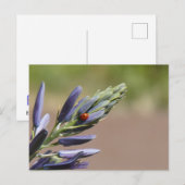 紫色の花のラディバグDIYはがき シーズンポストカード (正面/裏面)